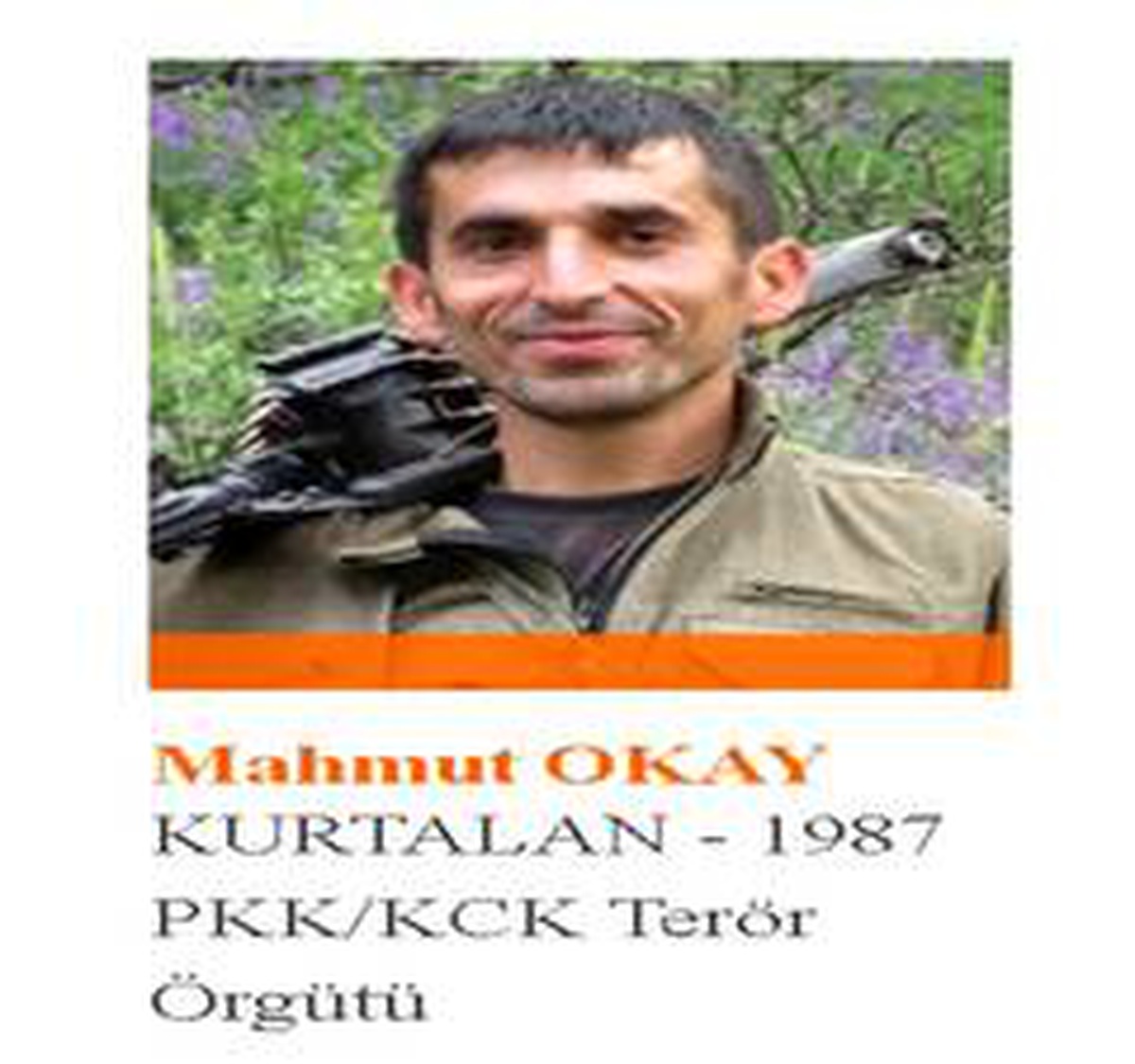 1 milyon TL ödülle aranan teröristin korona virüs testi pozitif çıktı