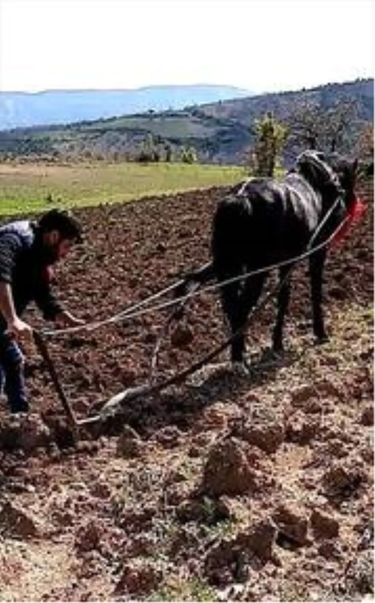 Adıyaman\'da yaşlı adamın tarlasını imam sürdü