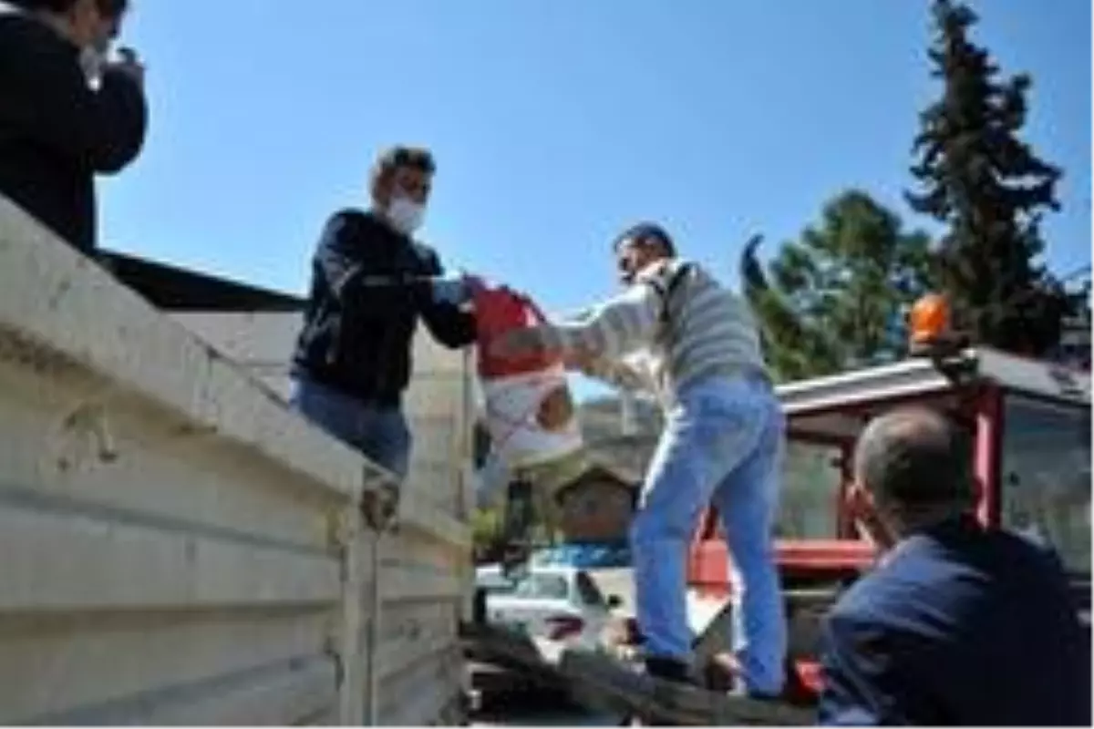 Çiftçiye \'ücretsiz\' tohum