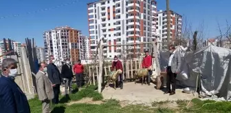 Malatya'da Bakan Soylu için koç kesildi