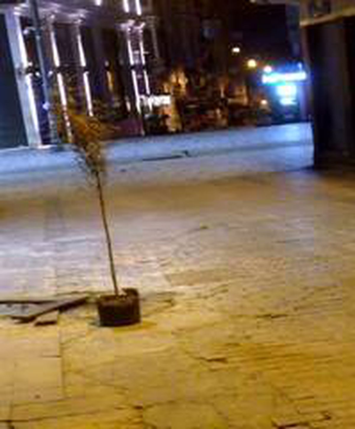 (Özel) Taksim\'de yasak sonrası Tom Jerry çizgi film gerçek oldu