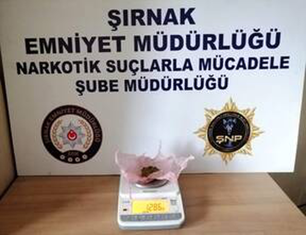 Şırnak\'ta kaçakçılık operasyonlarında 10 kişi yakalandı