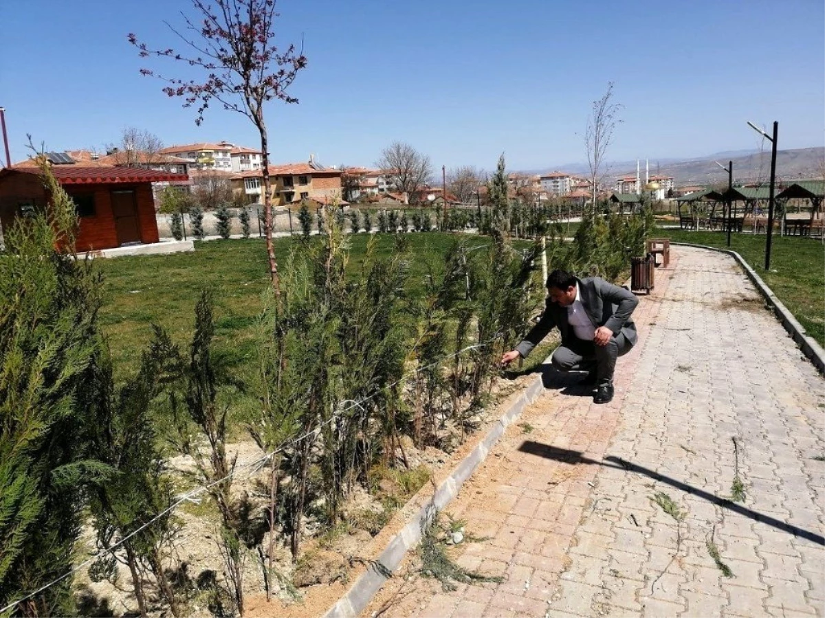 Çiçekdağı Belediyesi 10 bin fidanı toprakla buluşturmak istiyor