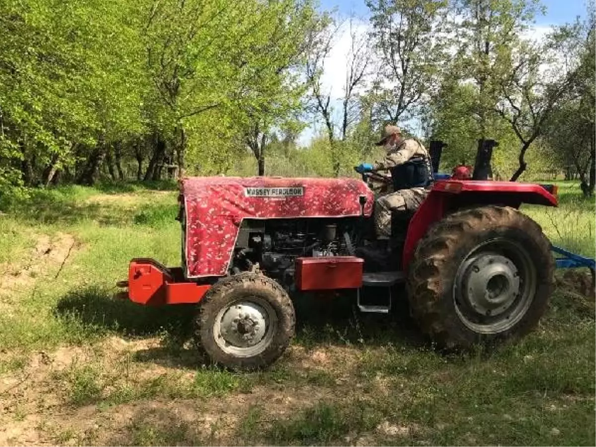 Evden çıkamayan kadının tarlasını jandarma sürdü