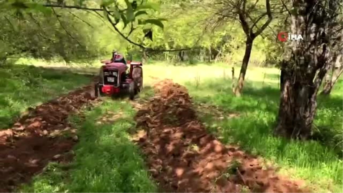 Jandarma, yaşlı kadının bahçesini sürdü