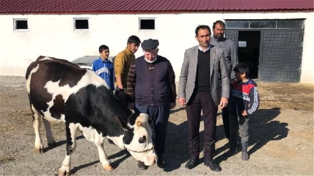 Kars\'tan kampanyaya inek, düve ve maaşlı bağış