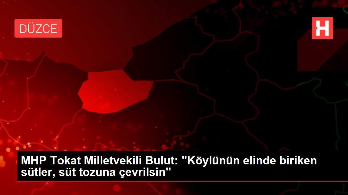 MHP Tokat Milletvekili Bulut: 'Köylünün elinde biriken sütler, süt tozuna çevrilsin'
