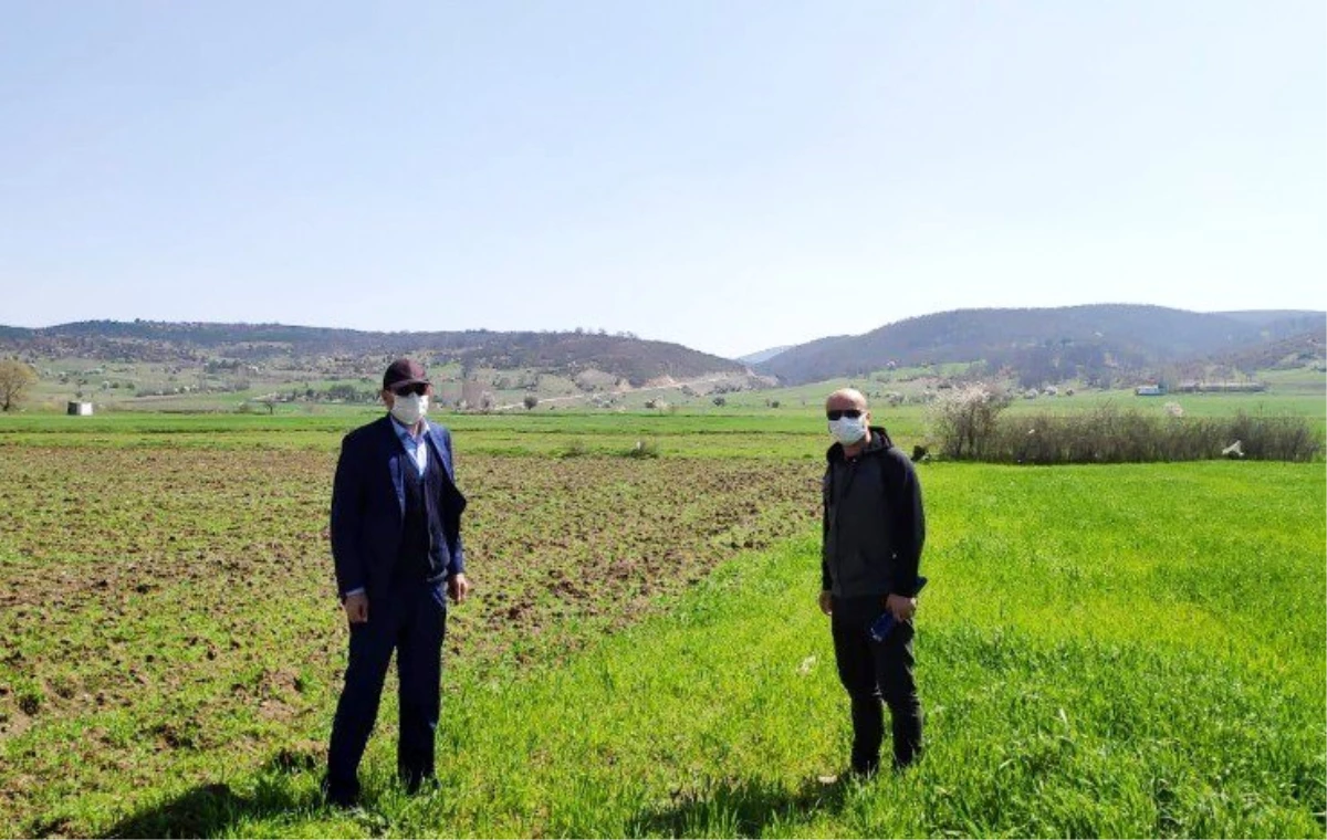 Tavşanlı İlçe Tarım Müdürlüğü faaliyetlerine devam ediyor