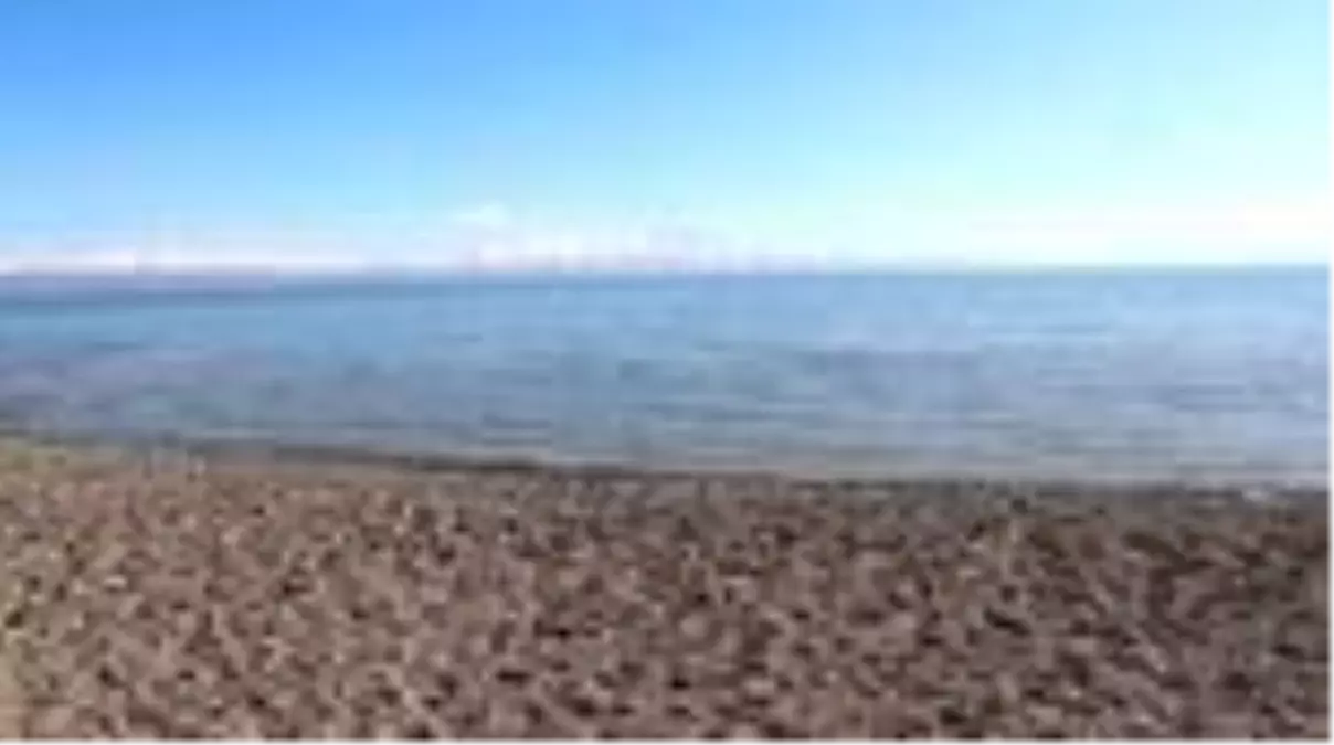 Van Gölü\'nün "incisi" için av yasağı yarın başlıyor - VAN