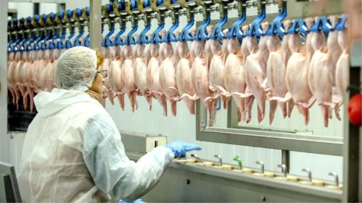 Banvit, ihtiyaç sahipleri için 40 ton beyaz et bağışladı