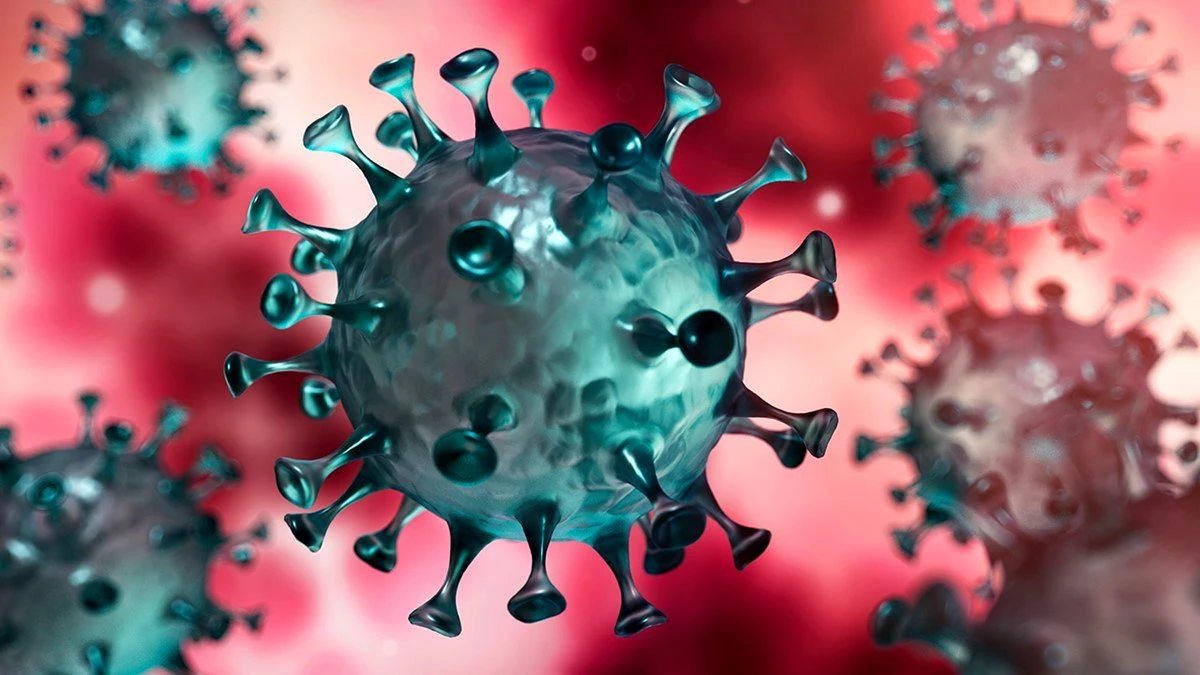 Bilim İnsanları Açıkladı: Altı Yeni Tip Koronavirüs Keşfedildi!