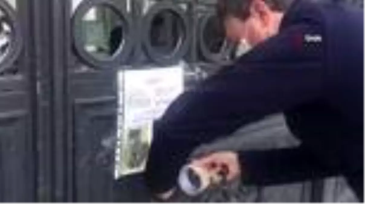 İtalyan astrofizikçi kaybolan kedisini bulana ödül verecek