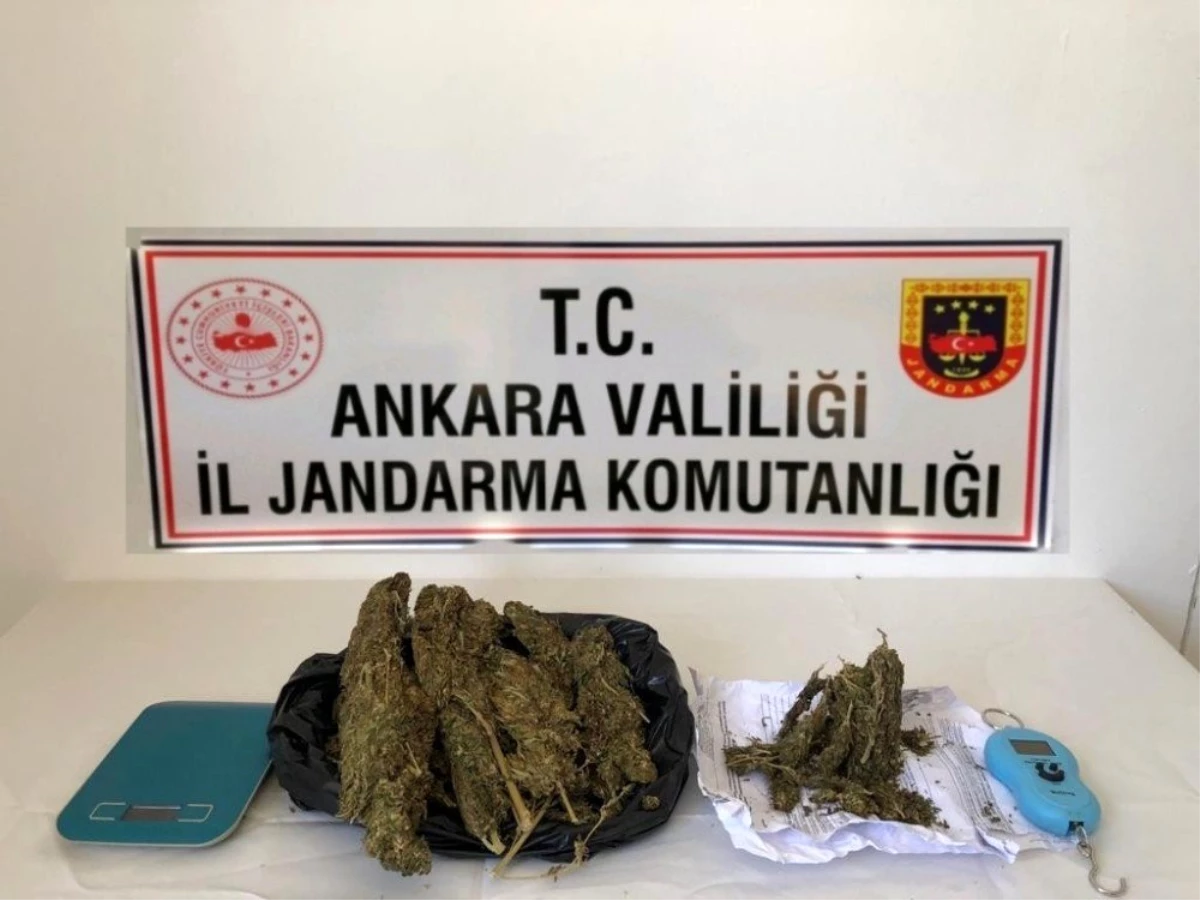 Jandarma ekipleri uyuşturucu satıcılığı yaptığı tespit edilen kişiyi yakaladı