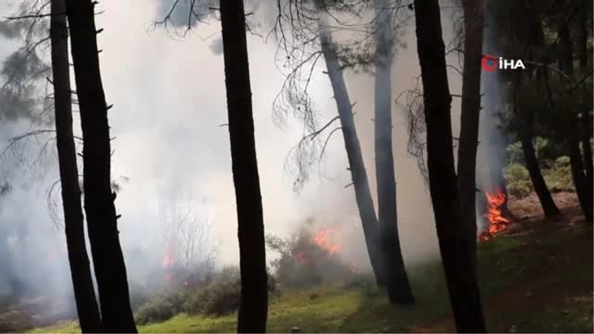 Orman yangınını itfaiye ve vatandaşlar söndürdü