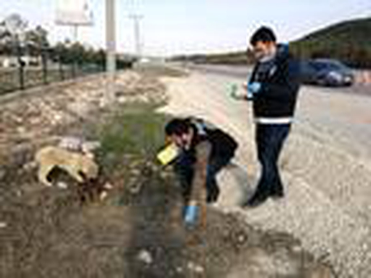 Uygulama noktasına gelen yavru köpeklere polisler sahip çıktı