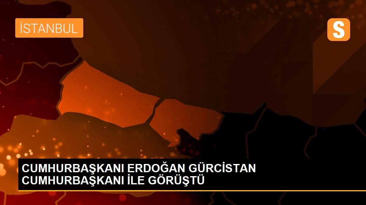 CUMHURBAŞKANI ERDOĞAN GÜRCİSTAN CUMHURBAŞKANI İLE GÖRÜŞTÜ