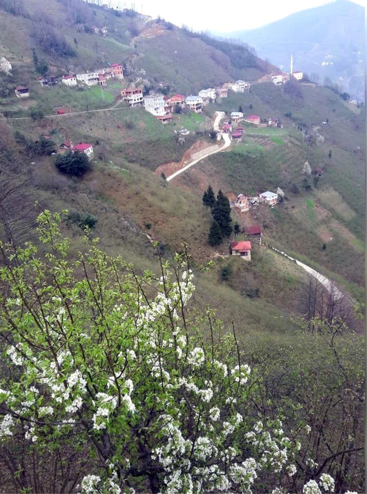 Giresun\'da bir köy daha karantinaya alındı