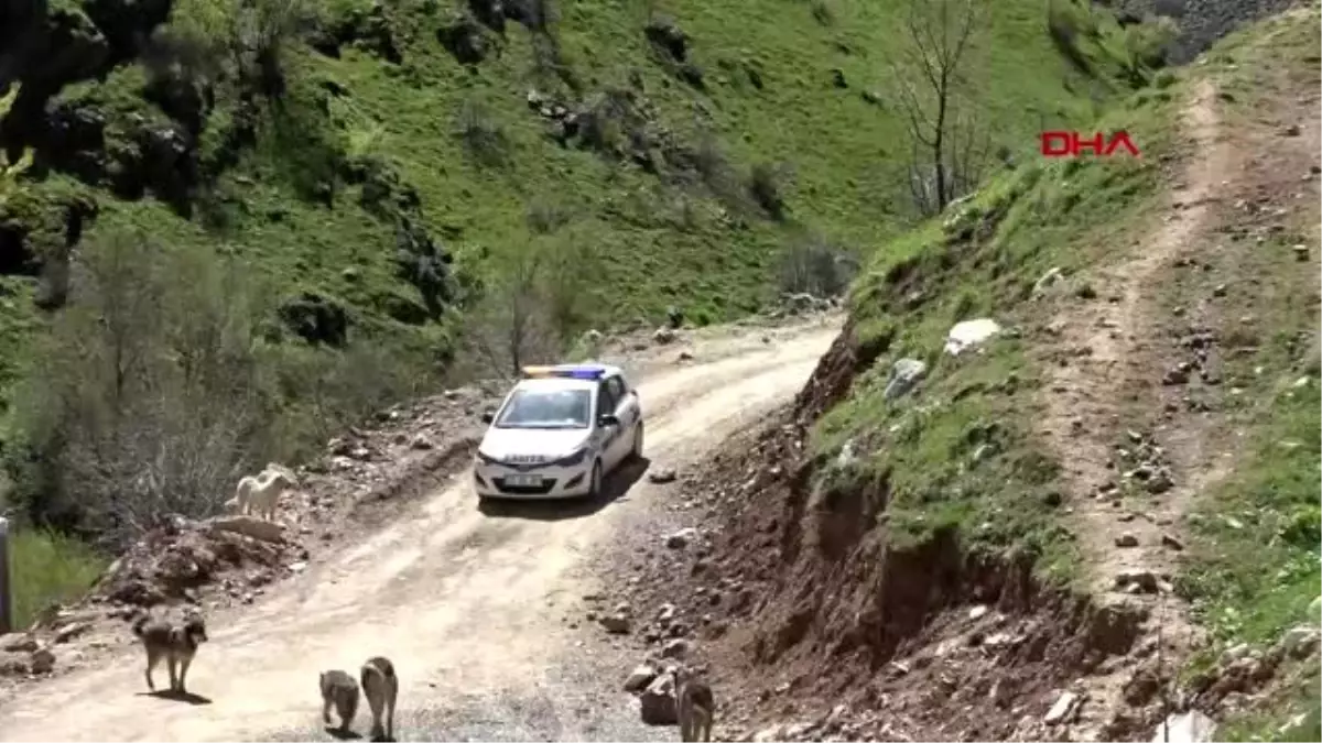 HAKKARİ Şemdinli\'de hayvanlar unutulmadı