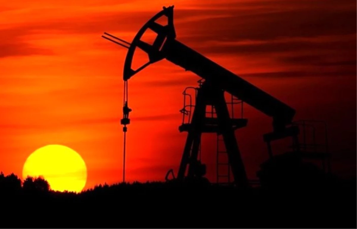 OPEC\'in ham petrol üretimi martta arttı