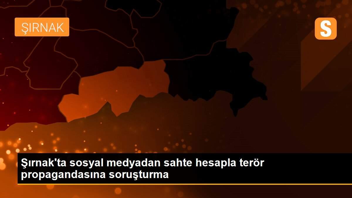 Şırnak\'ta sosyal medyadan sahte hesapla terör propagandasına soruşturma