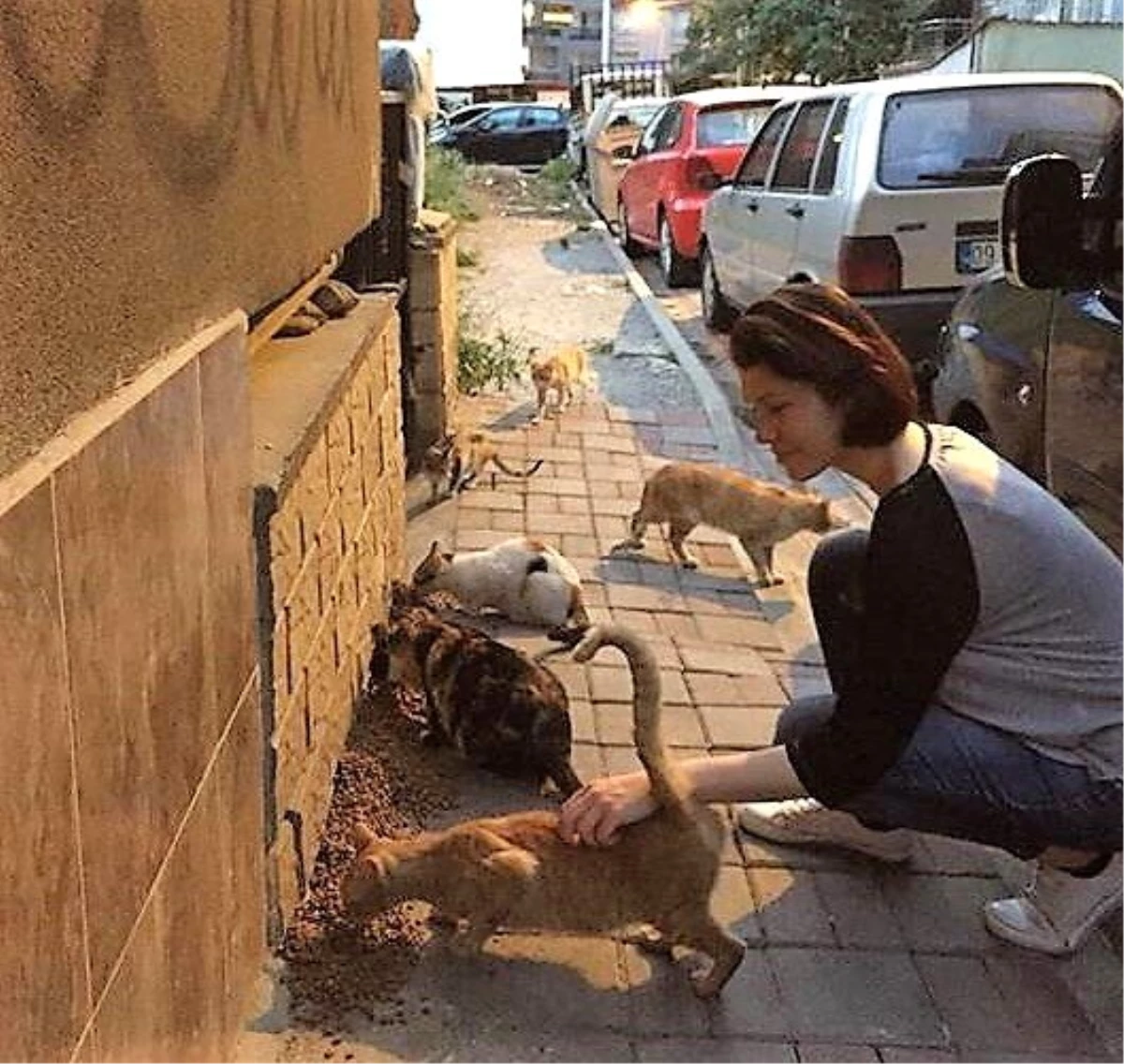 Üniversiteli 2 genç hocalarıyla birlikte sokak hayvanları için yemek artıklarını topluyor