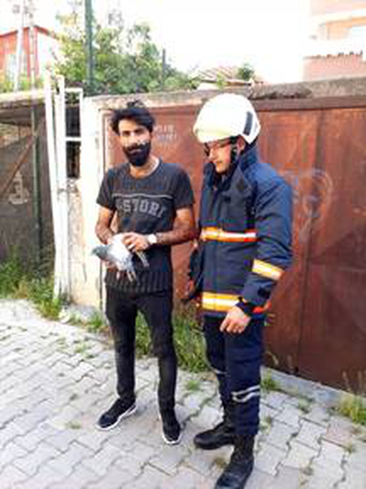 Ayağı su borusuna sıkışan güvercini itfaiye ekipleri kurtardı