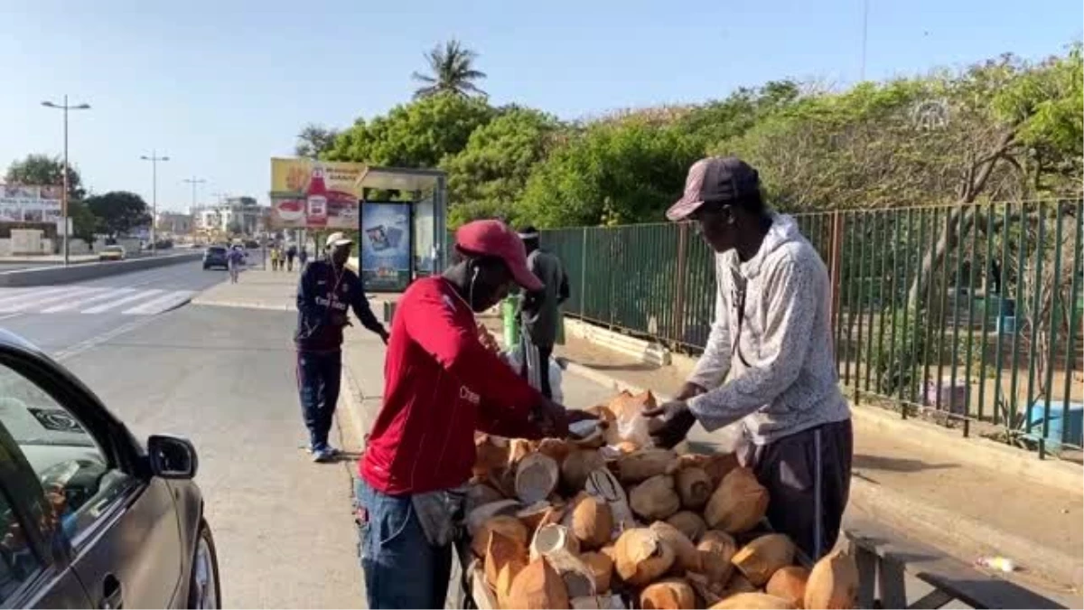 Senegal\'de salgın günlerinin "doğal eczaneleri": Hindistan cevizi tezgahları - DAKAR