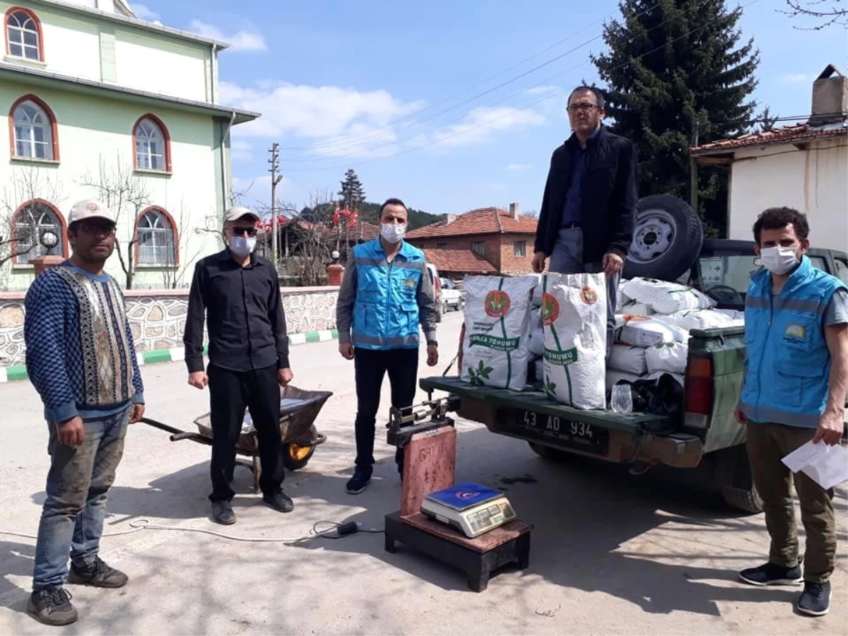 Üreticiye ücretsiz yonca tohumu desteği