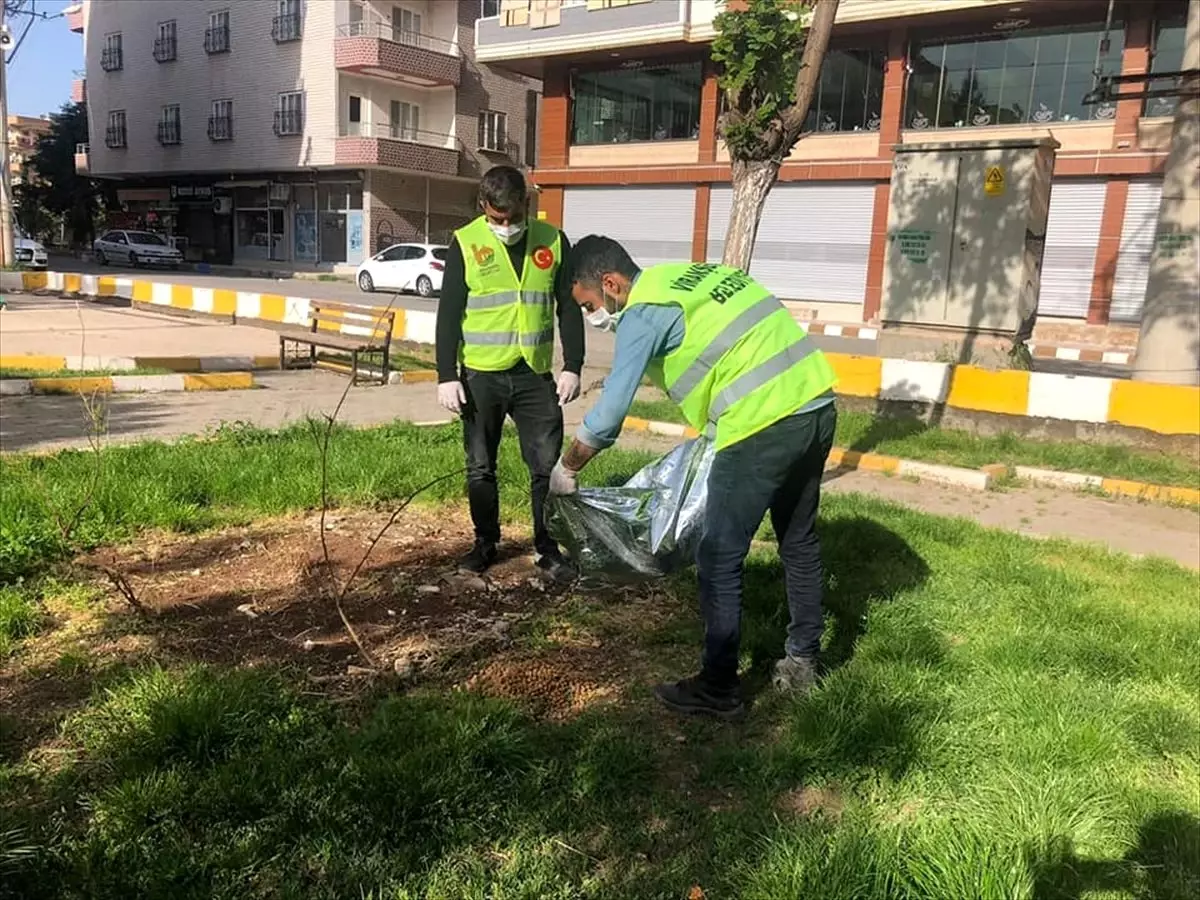 Viranşehir\'de sokak hayvanları için mama bırakıldı