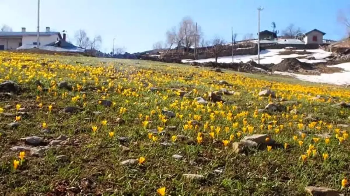 Bazı vatandaşlar sokağa çıkma kısıtlamasına yayladaki evlerinde uyuyor