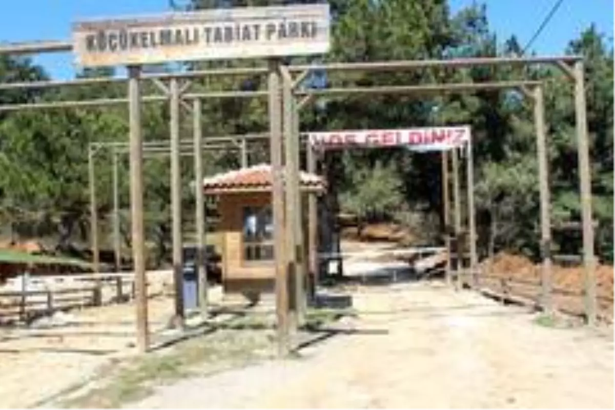 Küçükelma Tabiat Parkı\'nda düzenleme