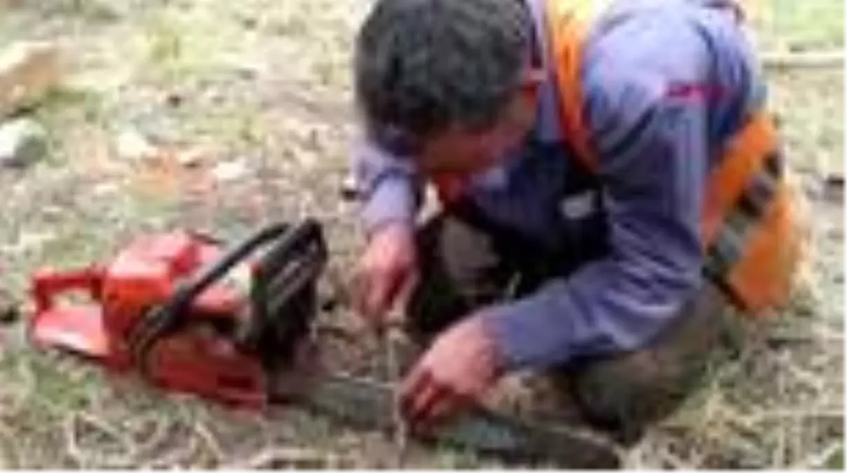 MERSİN Orman işçileri devrilen ağaçları ekonomiye kazandırmak için çalışıyor