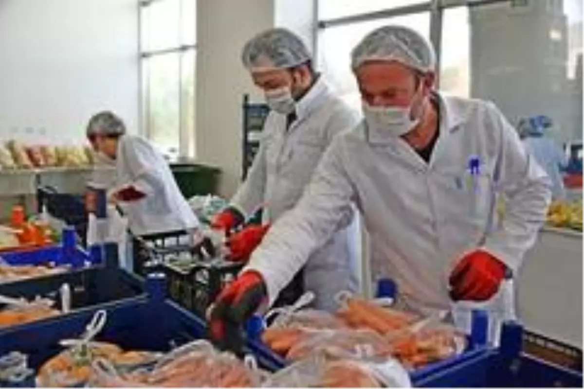 Online semt pazarının lideri patates ve çilek oldu