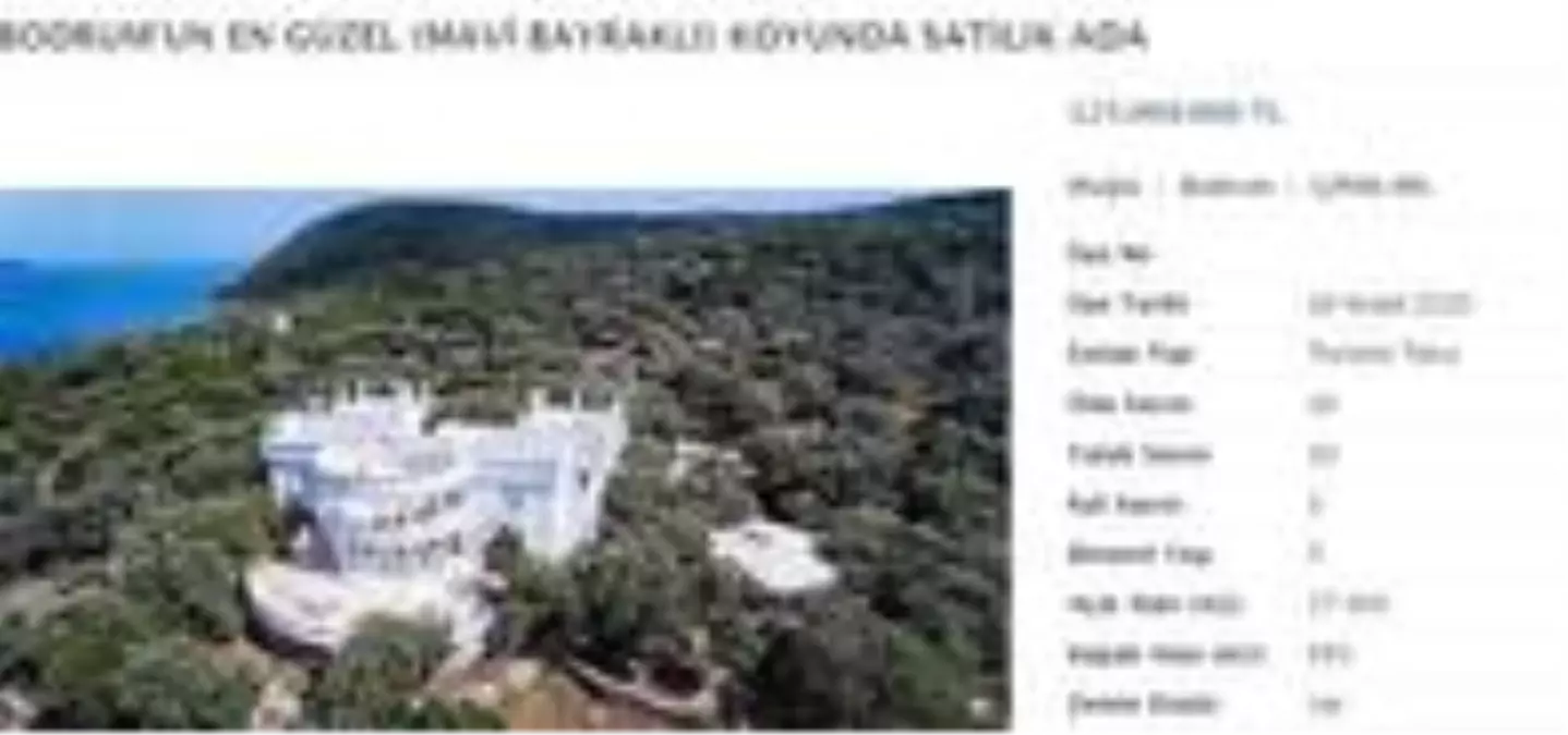 Bodrum\'daki satılık adanın fiyatı dudak uçuklattı