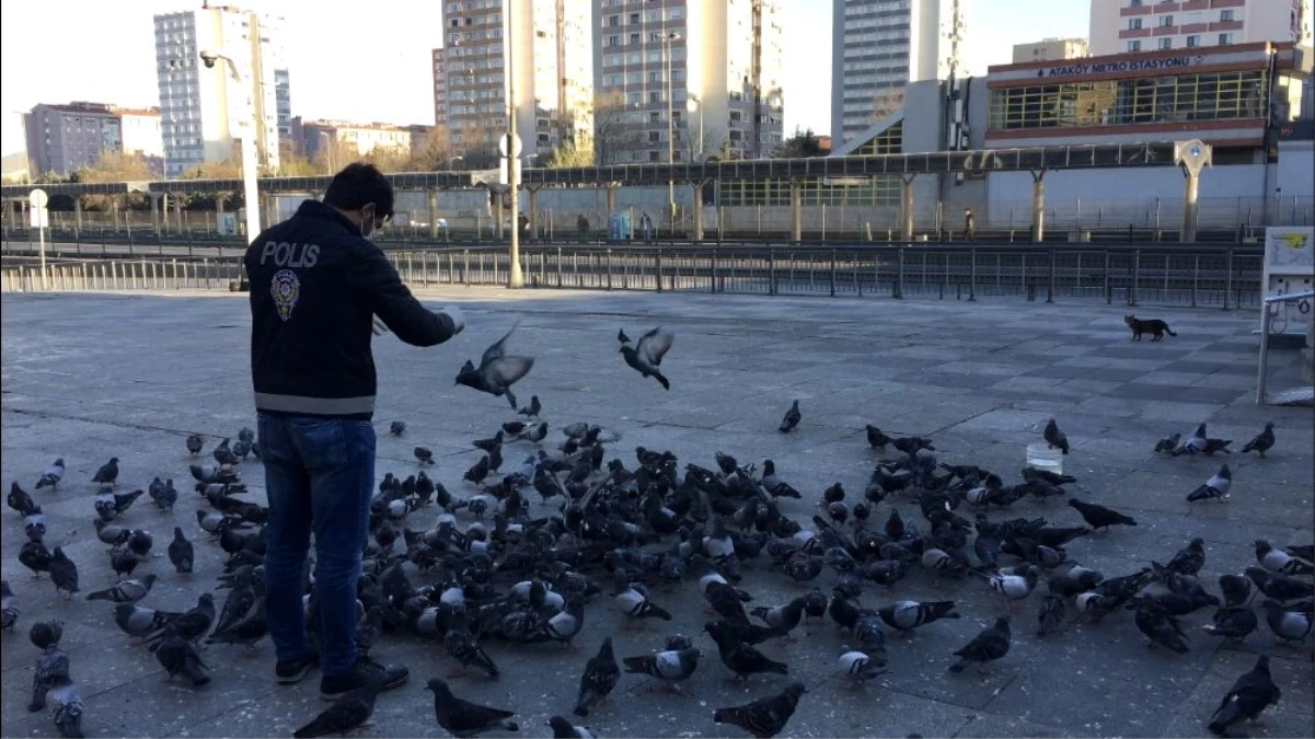 Polis aç kalan güvercinleri elleriyle besledi