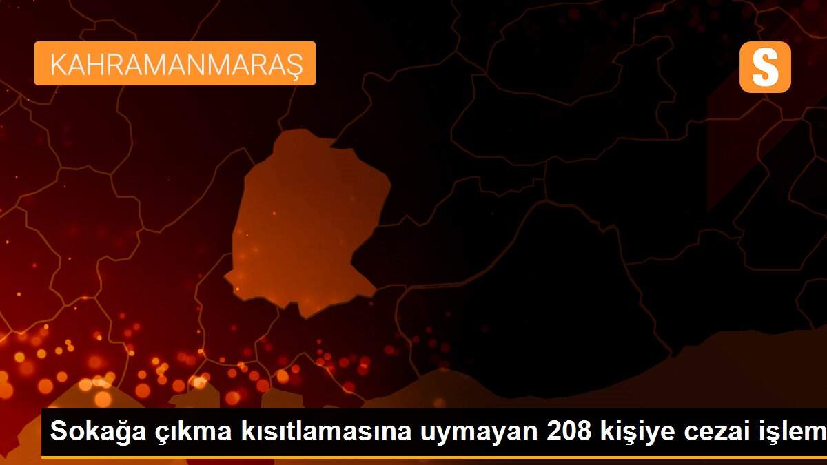 Sokağa çıkma kısıtlamasına uymayan 208 kişiye cezai işlem