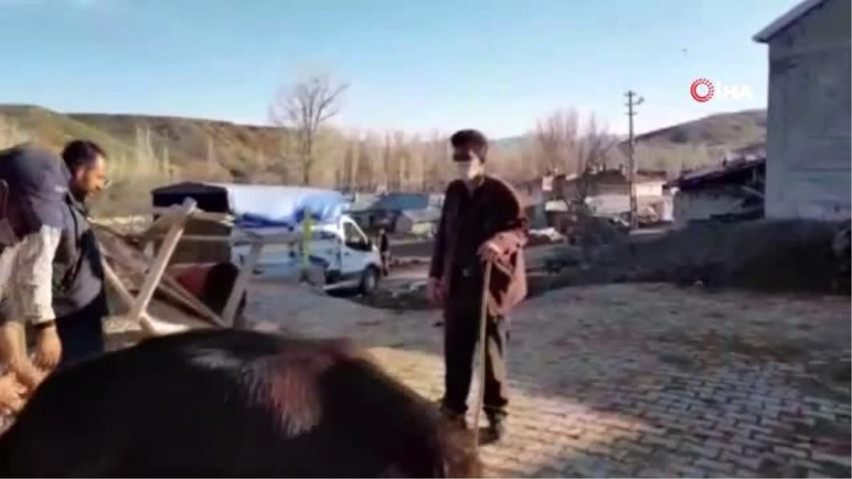 Erzurumlu çiftçi \'Biz bize yeteriz\' kampanyasına ineğini bağışladı