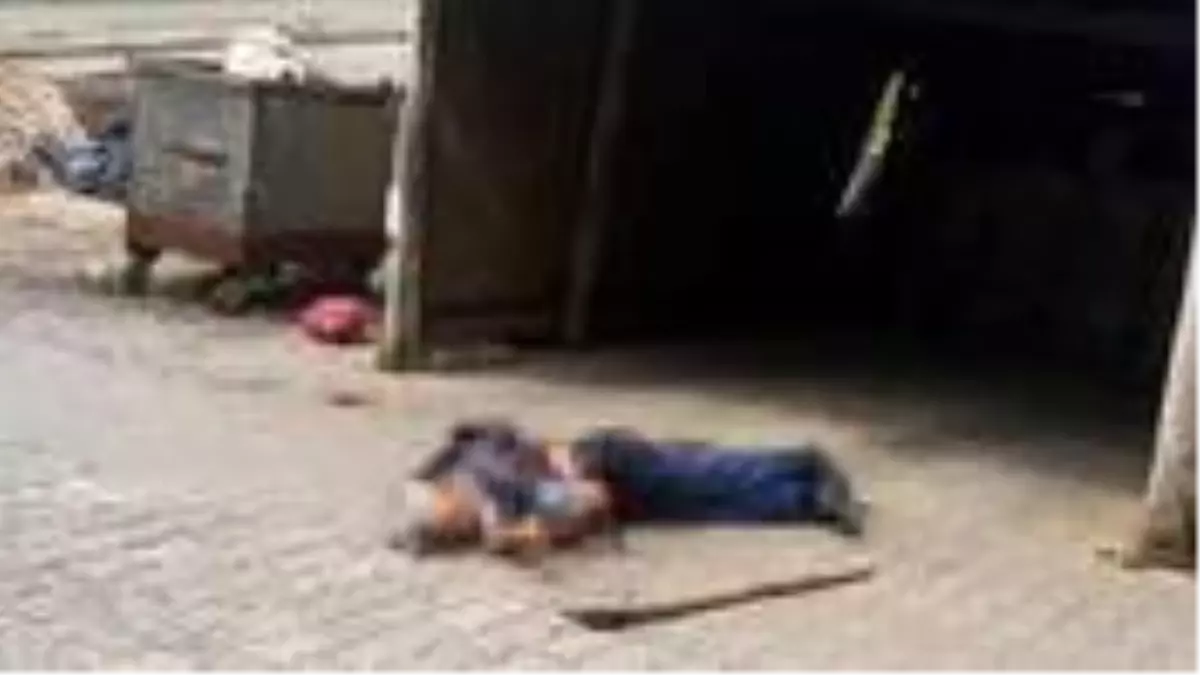 Kardeşlerin arazi kavgası kanlı bitti! Yengesini yaralayan zanlı, kardeşi ve yeğenini öldürdü