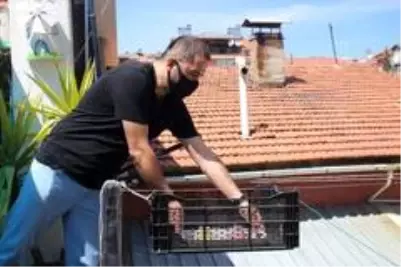 Karşı apartmanda oturan kız kardeşiyle ’teleferik’ sistemi sayesinde