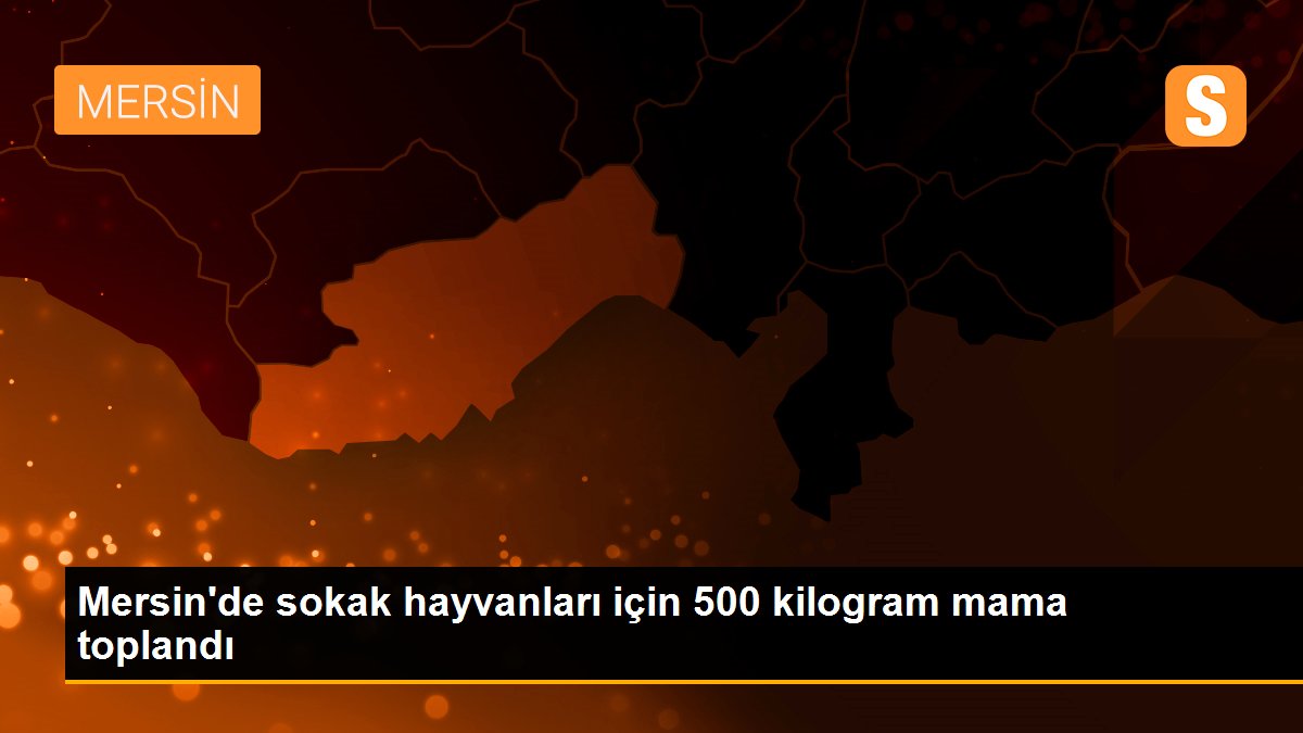 Mersin\'de sokak hayvanları için 500 kilogram mama toplandı