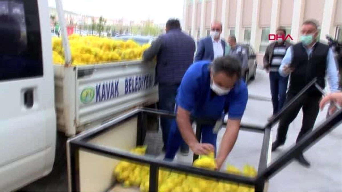 Nevşehir\'de sağlık çalışanlarına 4 ton limon