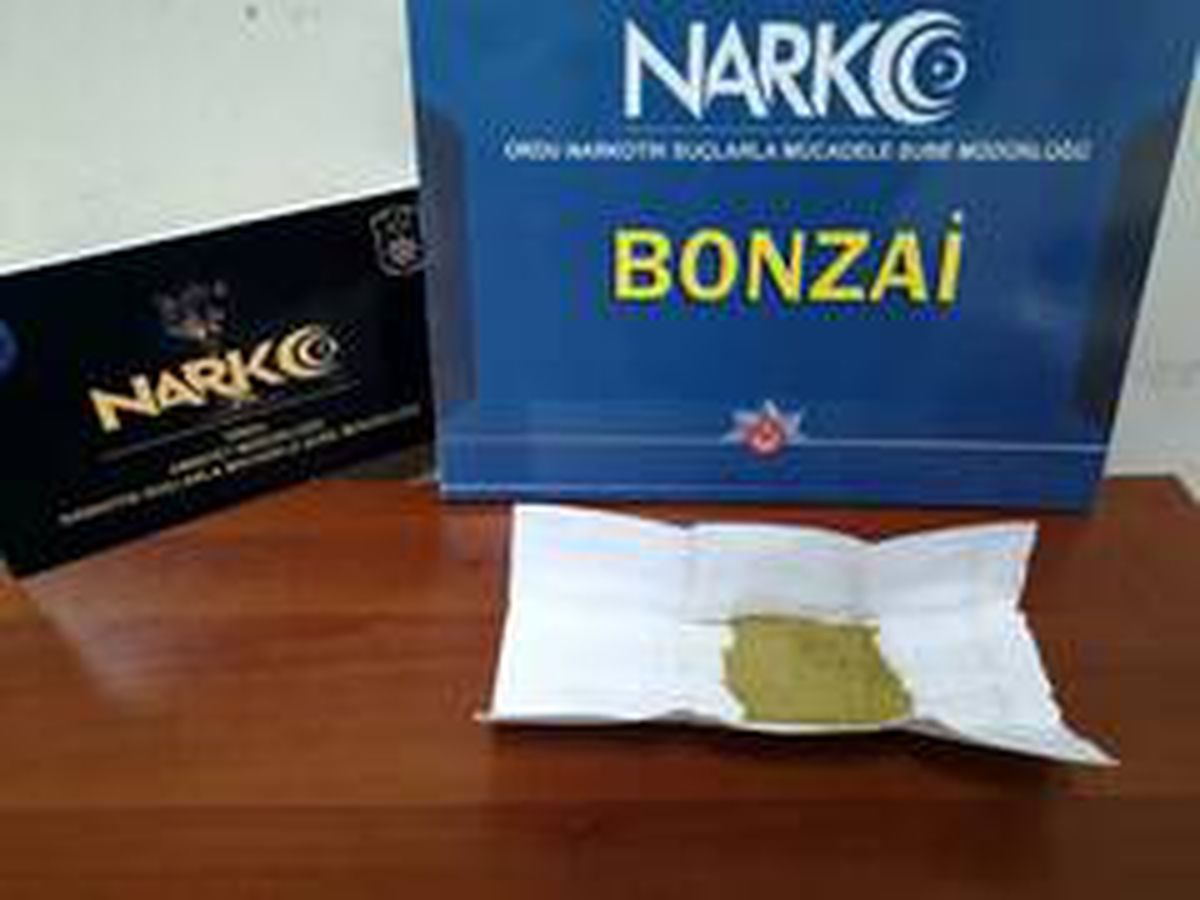 Ordu\'da bir araçta bonzai ele geçirildi