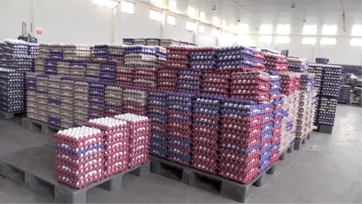 Yumurta üreticileri İsrail pazarına da yöneldi