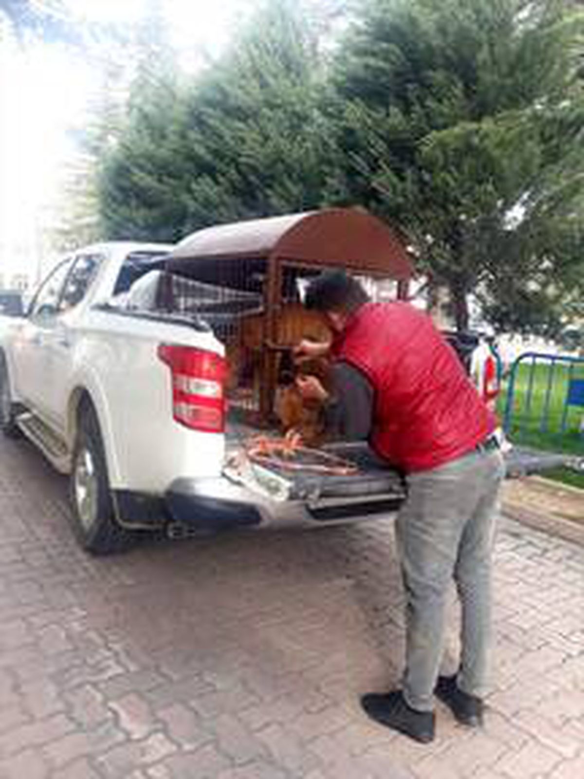 Aksaray\'da "pitbull" besleyen kişiye 19 bin 126 lira ceza