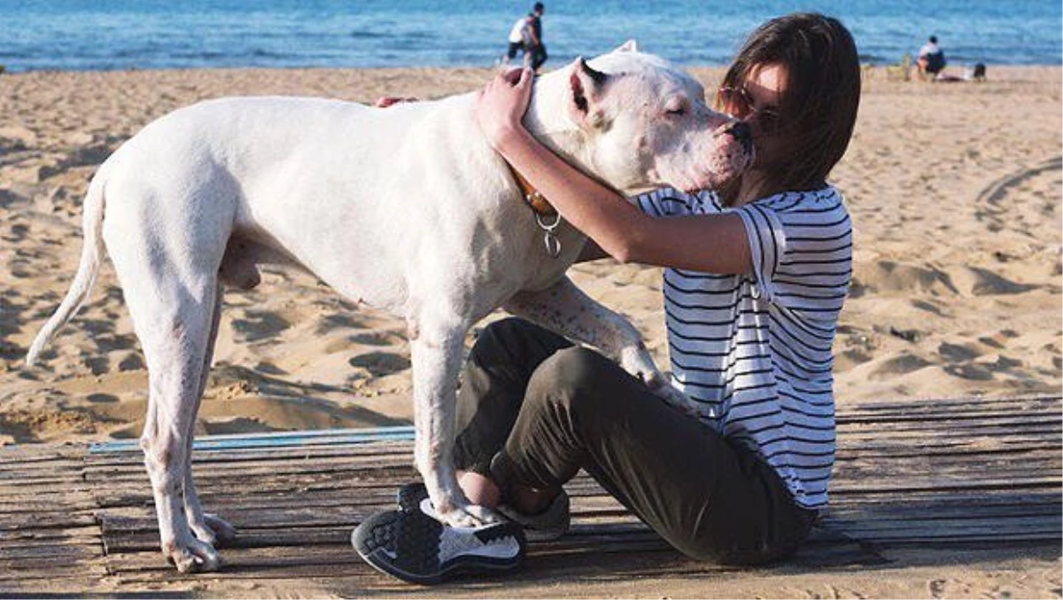 Genç oyuncu Alina Boz, ölen köpeğine veda etti: Kalbimin en güzel yerinde olacaksın