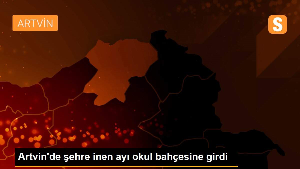 Artvin\'de şehre inen ayı okul bahçesine girdi