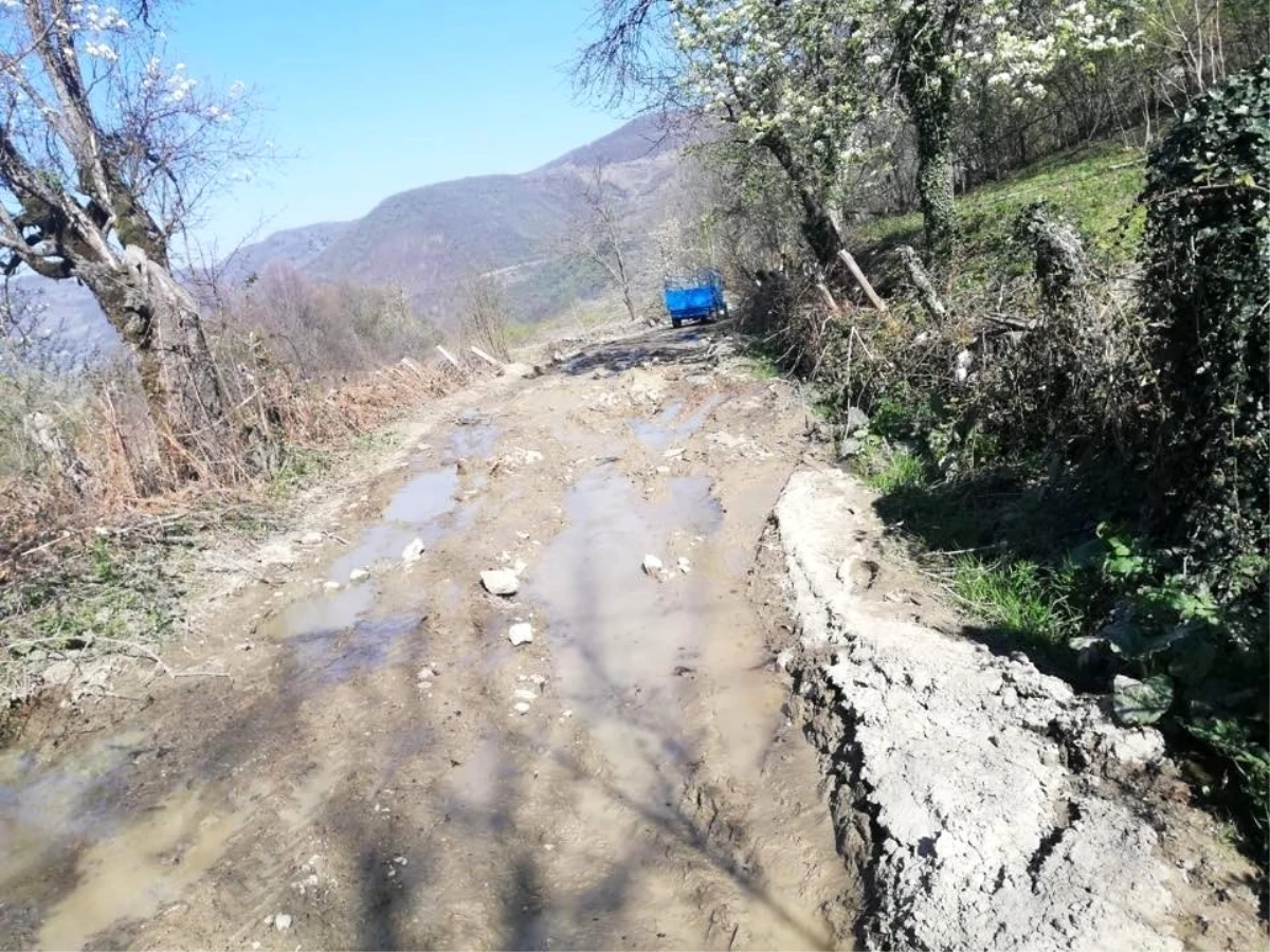 Cide Üçağıl köyü yolları bakımdan geçirildi