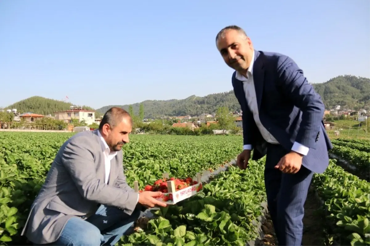 MHP\'li Kaşıkçı: "Bizim ikiliğe değil, birliğe ihtiyacımız var"