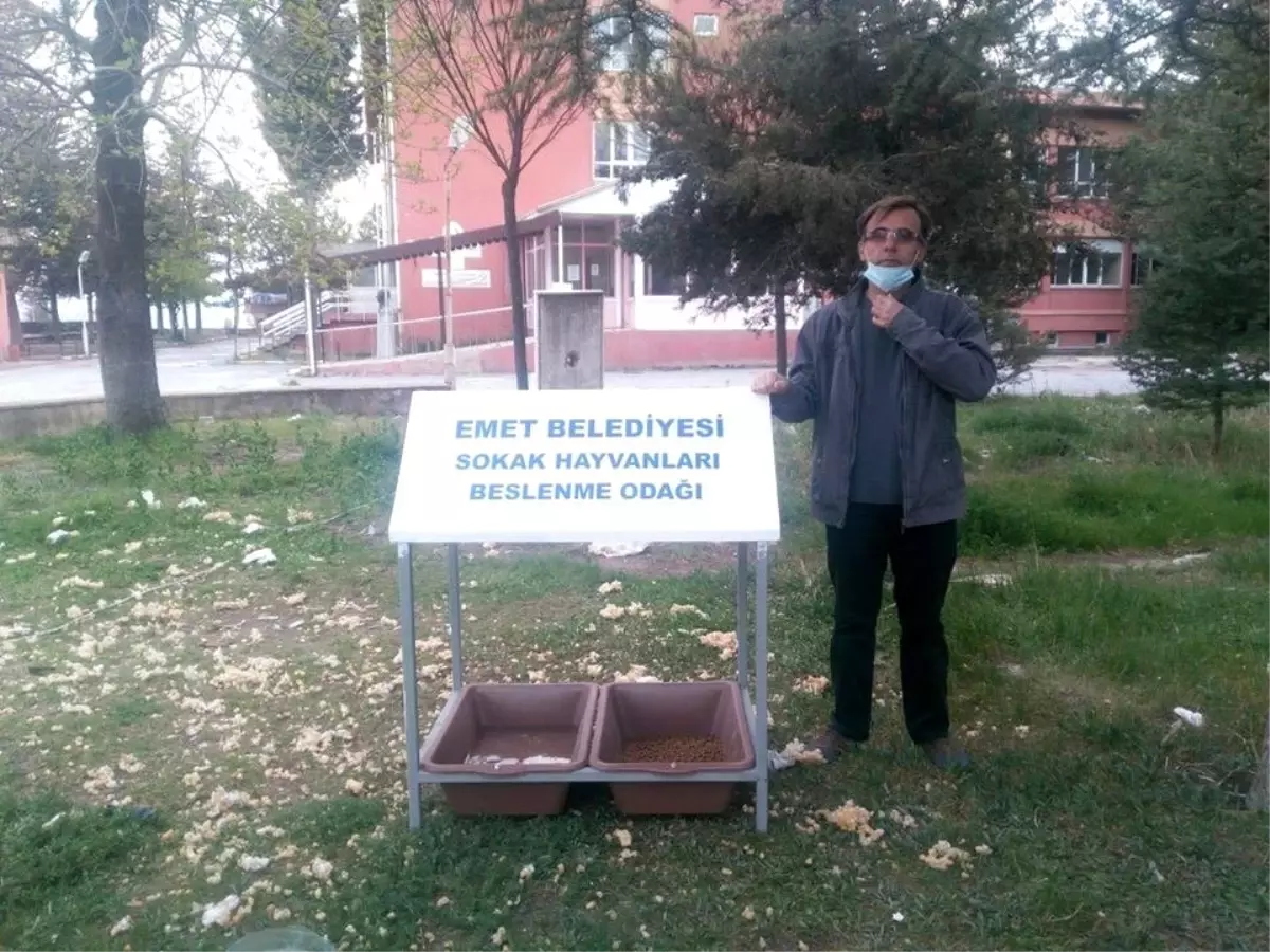 Sokak hayvanları için beslenme odakları yapılıyor