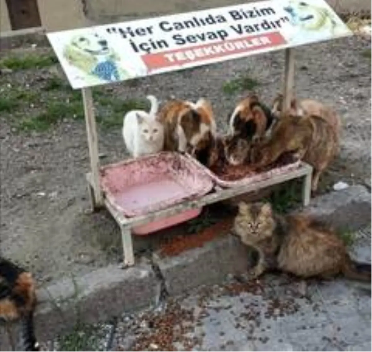 Devrek\'te iyilik daha hızlı buluşacak